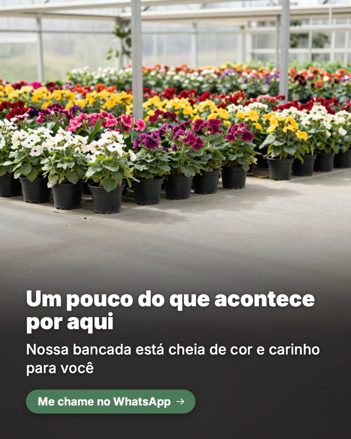 Post de Instagram gerado por IA para Flor de Lis Floricultura: Um pouco do que acontece por aqui