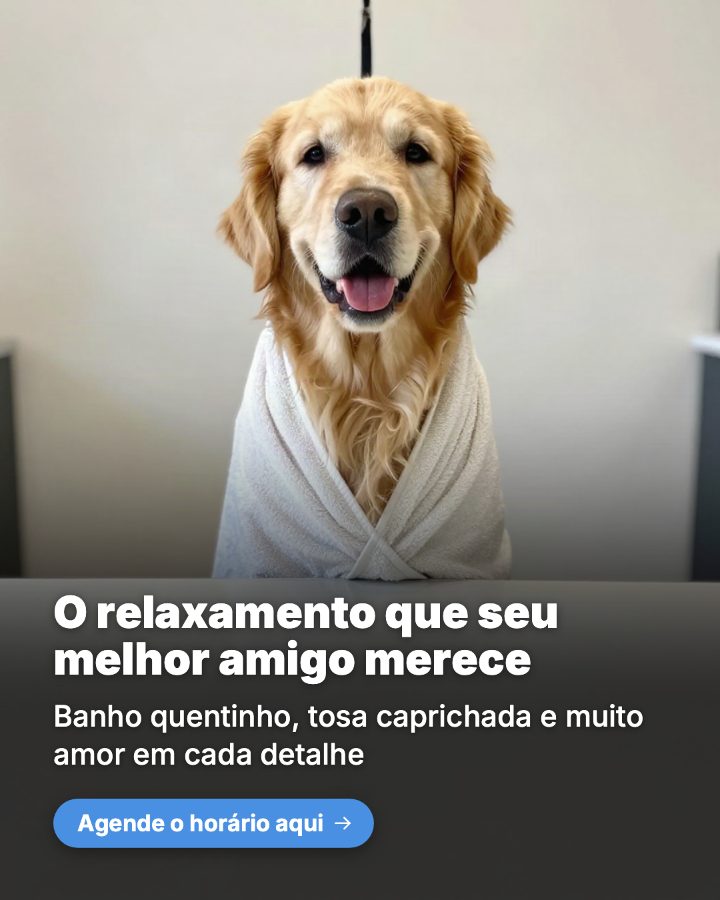 Post de Instagram gerado por IA para Patinhas Pet Shop: O relaxamento que seu melhor amigo merece