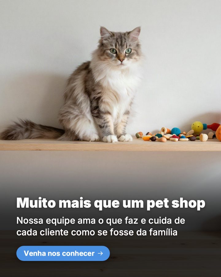 Post de Instagram gerado por IA para Patinhas Pet Shop: Muito mais que um pet shop