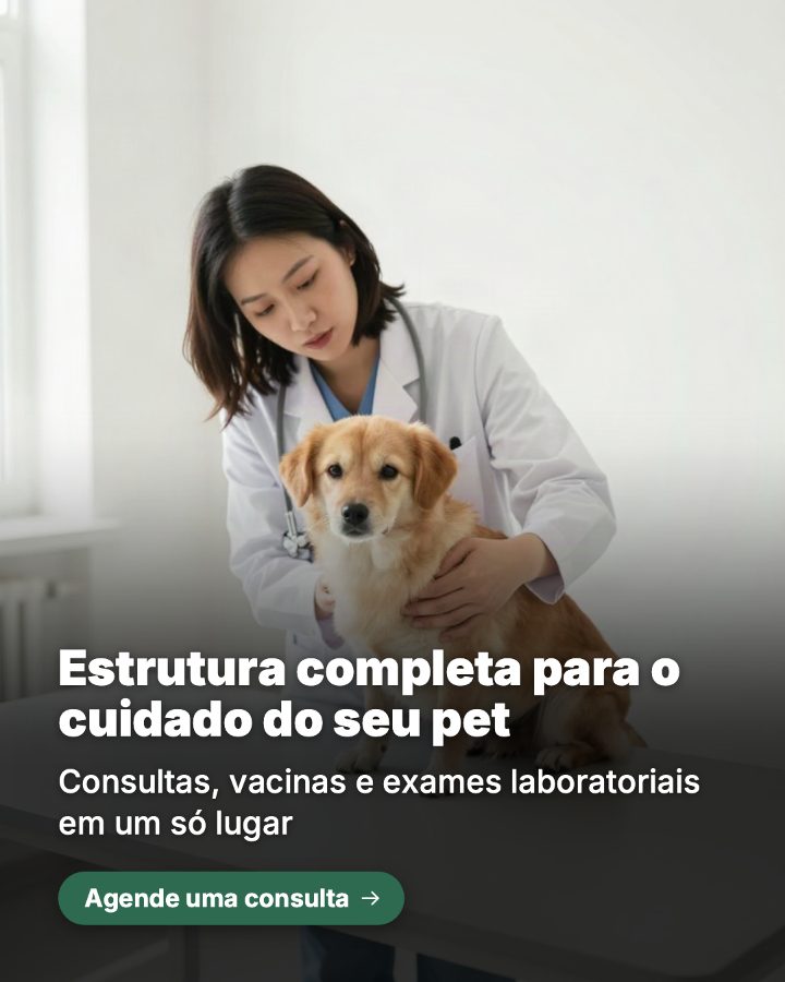 Post de Instagram gerado por IA para Clínica Vet Amigo Fiel: Estrutura completa para o cuidado do seu pet