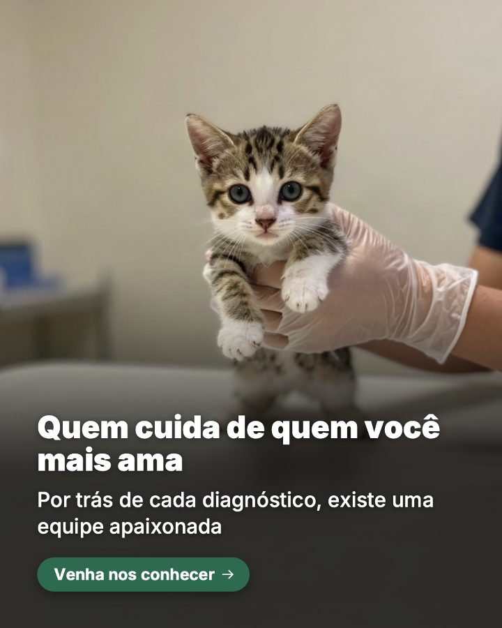 Post de Instagram gerado por IA para Clínica Vet Amigo Fiel: Quem cuida de quem você mais ama